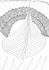 Archetypen